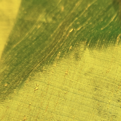 Raw Silk Fabric